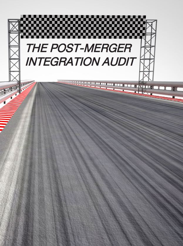 Post Merger Integration Audit